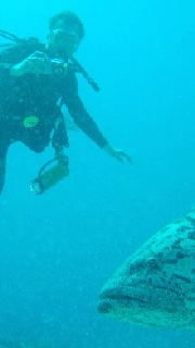 Sukeltaja,Cairns,Australia