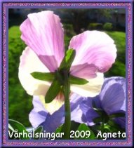 Agnetas v�rh�lsning