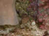 02022601.JPG (121421 bytes)