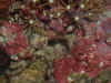 02022703.JPG (129334 bytes)