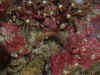 02022704.JPG (129208 bytes)