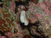 02022711.JPG (128417 bytes)