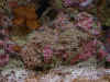 02030122.JPG (123414 bytes)