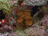 03010205.JPG (115510 bytes)