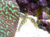091802142.jpg (241513 bytes)