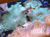 09200222.JPG (124730 bytes)