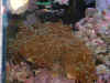 DSCF0004.jpg (100916 bytes)