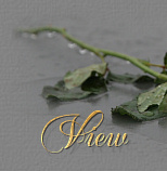 Free Guestbook from Bravenet.com