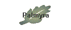 Palmyra