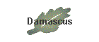 Damascus