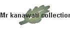 Mr kanawati collection