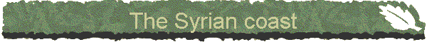 The Syrian coast