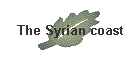 The Syrian coast