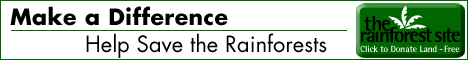 click here to donate FREE rain forest land, absolutely NO cost or obligation to you!