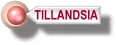 tilmenu