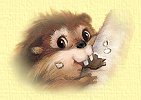 Beaver