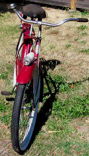 100_0409s.JPG (43554 bytes)