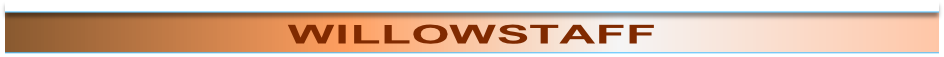 wp16368433.png