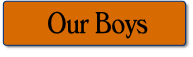 wp2bfebd16.png
