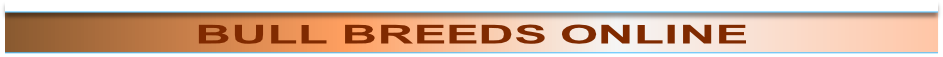 wp2e8e1f47.png