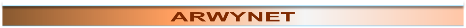 wp3f3fb101.png