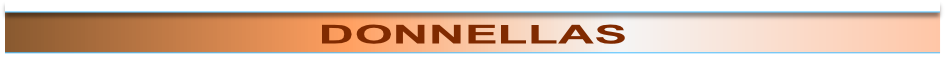 wp44f2a255.png