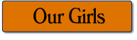 wp4c636b77.png