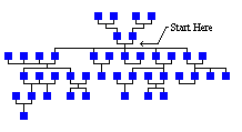 Hall Family Tree - Constantly Updated