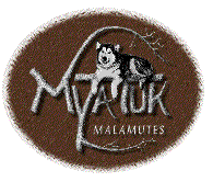 Myatuk Malamutes