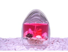 Egg-Shaped Gel Candle