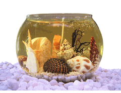 Large Fishbowl Gel Candle