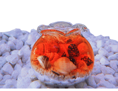 Small Fishbowl Gel Candle
