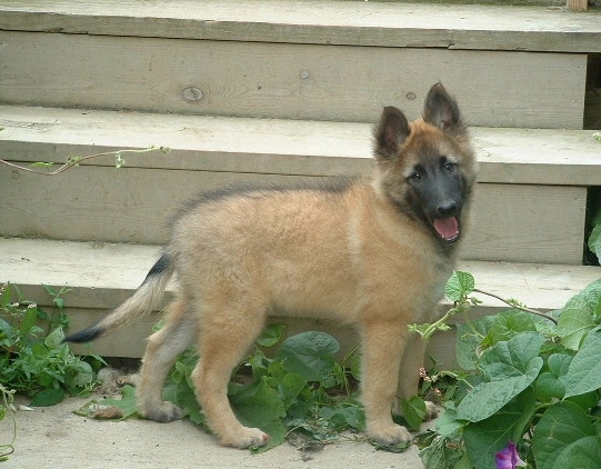 Posh at 9 weeks