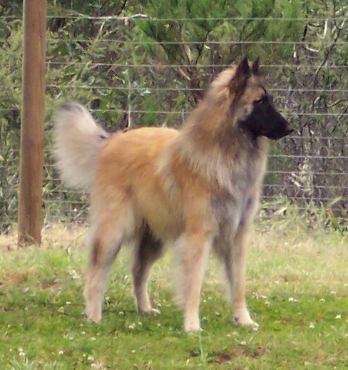 Posh-his 1st birthday 
