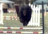 LugeSwatJumpMay03.jpg (41613 bytes)