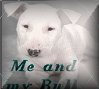 Visit my Spirit Page 