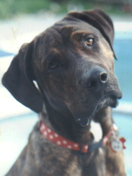 Kilo - in 1996 euth. for child aggression