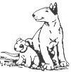 Click one me to see my Graet Link Page 