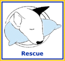 Rescue Info