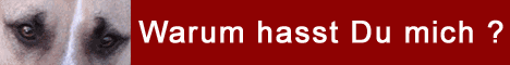 Visit this site