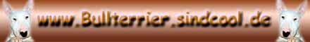 Visit this site