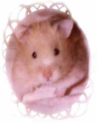 buddy1.JPG (6840 bytes)