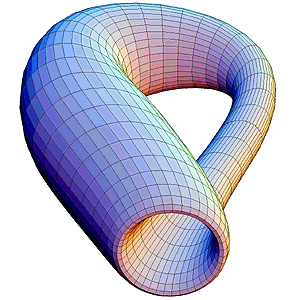 Larg Klein Bottle