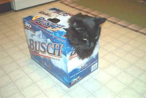 Redneck pet carrier
