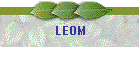 LEOM