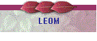 LEOM
