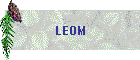 LEOM