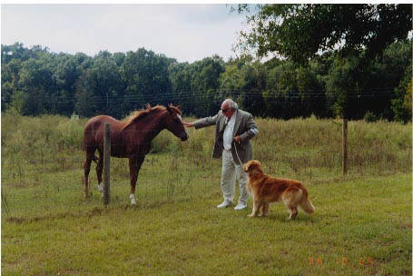 nero and horse(31488 bytes)