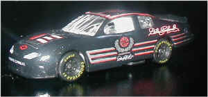 nascar-srdei.jpg (24684 bytes)