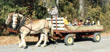 Hayride